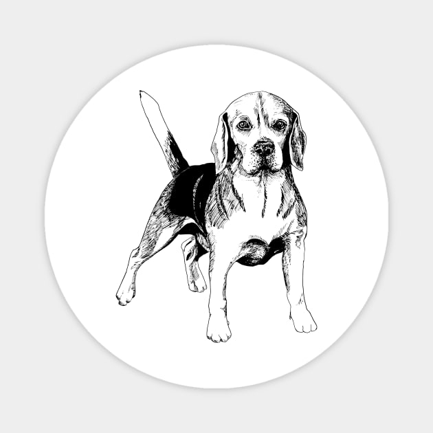 beagle Magnet by VicaVeresk